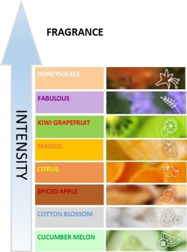 Fre Pro Hang Tag univerzális illatosító Mango